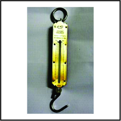 Prince Handy (Weighing Machine)